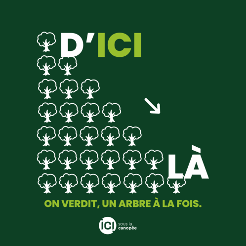 Le programme ICI sous la canopée