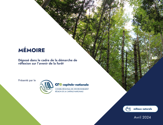Mémoire Forêts