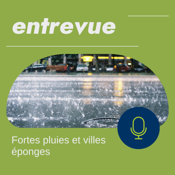 Entrevue parcs éponges