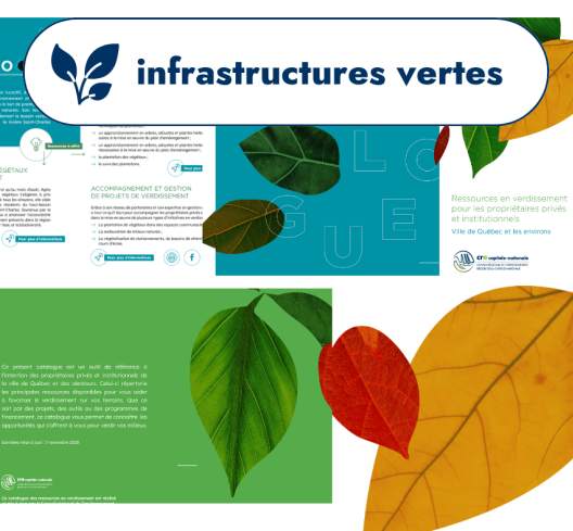Le catalogue en verdissement