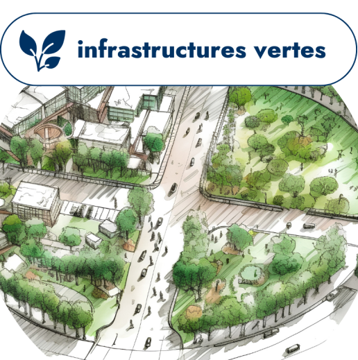 guide promoteurs et gestionnaires immobiliers - infrastructures vertes